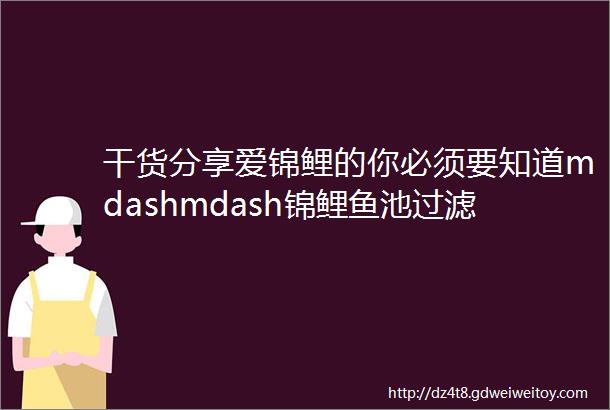 干货分享爱锦鲤的你必须要知道mdashmdash锦鲤鱼池过滤系统十大注意事项